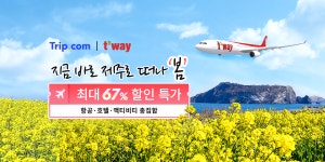 지금 바로 제주로 떠나봄