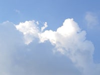 경주 카페 “엘로우” | 트립닷컴 경주 트래블로그