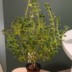 무주 계곡 옆 워터슬라이드수영장이 있는 알로프랑스펜션! | 트립닷컴 무주군 트래블로그