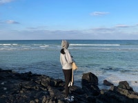 우연히 웨스 앤더슨에서 인증샷 남기기🕺🏻 | 트립닷컴 아시아 트래블로그