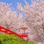 #울산데이트