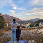 부천 원미산 진달래축제🌸 | 트립닷컴 부천 부천 원미산 진달래축제🌸 | 트립닷컴 부천 