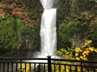 팀버 관광지 (2025년 업데이트) | Trip.com 추천