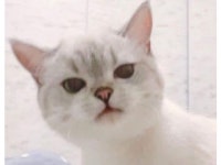 광안리 해수욕장 - 부산 여행 리뷰｜트립닷컴 트립 가이드