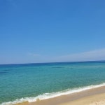목장카페 궁금하다면 여기로 꼭 찍어보세요 | 트립닷컴 서귀포 트래블로그 목장카페 궁금하다면 여기로 꼭 찍어보세요  | 트립닷컴 서귀포... 
