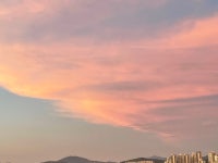 🖼 시간이 멈춘 수원 골목, 지동벽화마을 | 트립닷컴 수원 트래블로그