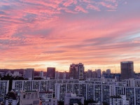 영등포 타임스퀘어 카페 맛집을 찾는다면 콜렉티보 강추😊 | 트립닷컴 서울 트래블로그