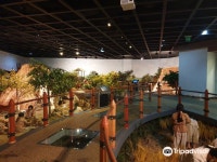 고창 고인돌 박물관 티켓 할인, 운영 시간, 후기 [2026년] | Trip.com