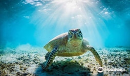 서울마리아센터주 | Santa Maria Dive Center 티켓 할인, 운영 시간, 후기 [2025년] | Trip.com