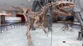 한국자연사박물관 티켓 할인, 운영 시간, 후기 [2026년] | Trip.com