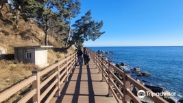 외옹치 바다향기로 티켓 할인, 운영 시간, 후기 [2026년] | Trip.com