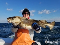 Blue Fin IV Inc. 티켓 할인, 운영 시간, 후기 [2026년] | Trip.com