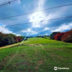 파인 밸리 골프 클럽 티켓 할인, 운영 시간, 후기 [2026년] | Trip.com