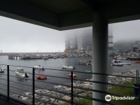 동삼동패총전시관 티켓 할인, 운영 시간, 후기 [2026년] | Trip.com