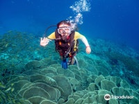 Submariner Diving Center 티켓 할인, 운영 시간, 후기 [2026년] | Trip.com