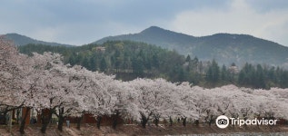수안보면 자유여행 가이드 2026년: 인기 명소, 맛집, 여행 코스 총정리 | 트립닷컴 | 2026년 4월