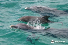 Sunshine Water Sports of PC 티켓 할인, 운영 시간, 후기 [2026년] | Trip.com