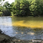 다지 포인트 보호지역 티켓 할인, 운영 시간, 후기 [2025년] | Trip.com