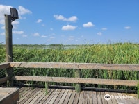 리브 오크 카운티 호텔 추천 Top 10 최저가 예약 | 트립닷컴