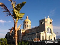 파티 베스트 웨스턴 플러스 호텔 예약 및 특가 확인 | 트립닷컴