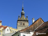 시계탑 티켓 할인, 운영 시간, 후기 [2025년] | Trip.com