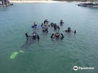 Scuba Divers Pardise 티켓 할인, 운영 시간, 후기 [2026년] | Trip.com