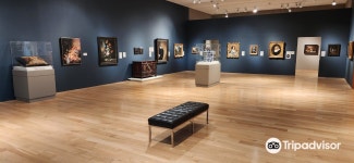 Speed Art Museum 티켓 할인, 운영 시간, 후기 [2026년] | Trip.com