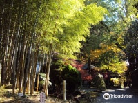 초안산 근린공원(2)-산165 | 콘고산 초안지 티켓 할인, 운영 시간, 후기 [2026년] | Trip.com