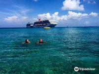 Paradise Snorkel & Scuba 티켓 할인, 운영 시간, 후기 [2026년] | Trip.com