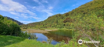 와이누이오마타 리저널 공원 티켓 할인, 운영 시간, 후기 [2026년] | Trip.com