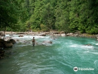 Pemberton Fish Finder 티켓 할인, 운영 시간, 후기 [2026년] | Trip.com