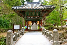 하동군 호텔 추천, 인기 하동군 숙소 예약 | 트립닷컴