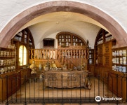 독일 약국 박물관 티켓 할인, 운영 시간, 후기 [2025년] | Trip.com