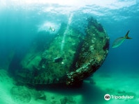 S다이버스마린 | Ultra Marine Divers 티켓 할인, 운영 시간, 후기 [2026년] | Trip.com