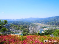 엠티스토리파크 | Mt.Tomisu Park. 티켓 할인, 운영 시간, 후기 [2026년] | Trip.com