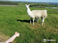 모허 언덕 열린 농장과 레저 공원 티켓 할인, 운영 시간, 후기 [2026년] | Trip.com