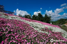 Flora Park 티켓 할인, 운영 시간, 후기 [2026년] | Trip.com