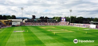 리버사이드 자유여행 가이드 2026년: 인기 명소, 맛집, 여행 코스 총정리 | 트립닷컴 | 2026년 2월