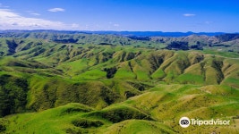 Tussock Ridge Farm Tours 티켓 할인, 운영 시간, 후기 [2026년] | Trip.com