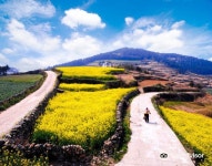 다도해 해상국립공원 티켓 할인, 운영 시간, 후기 [2026년] | Trip.com