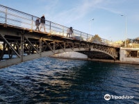 에보브리지(인쇄사) | Old Evripos Bridge 티켓 할인, 운영 시간, 후기 [2026년] | Trip.com