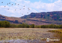 Anbangbang Billabong 티켓 할인, 운영 시간, 후기 [2026년] | Trip.com