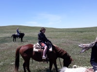 Hurley Butte Horseback Riding 티켓 할인, 운영 시간, 후기 [2025년] | Trip.com