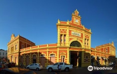 Adolpho Lisboa Municipal Market 티켓 할인, 운영 시간, 후기 [2026년] | Trip.com