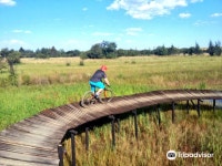 로즈마리 힐 마운틴 바이크 트레일스 티켓 할인, 운영 시간, 후기 [2026년] | Trip.com