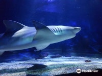 가르 관광지 (2026년 업데이트) | Trip.com 추천