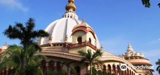 나디아 여행 가이드(2025년): 인기 관광지, 교통, 날씨 등 (업데이트 날짜: 2025년 9월) | Trip.com