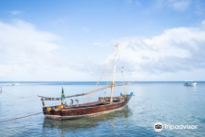 Afro Whale Shark Safari 티켓 할인, 운영 시간, 후기 [2026년] | Trip.com