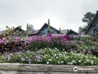 그랜드파더 골프 & 컨트리 클럽 티켓 할인, 운영 시간, 후기 [2025년] | Trip.com