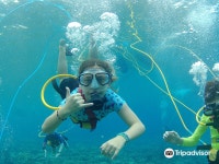 Shoreline Snuba Maui 티켓 할인, 운영 시간, 후기 [2026년] | Trip.com